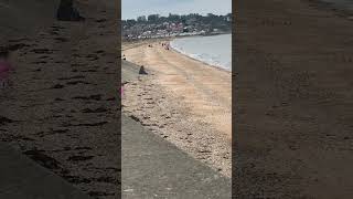 Leysdown Beach Sheerness Kent England UK 🇬🇧 [upl. by Vinay580]