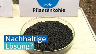 Nachhaltig Experimente mit Pflanzenkohle  MDR SACHSENANHALT HEUTE  MDR [upl. by Nagol637]