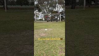 Afl backflip trickshot grand final 2024 swans vs lions with 3kgdumbellfootballgymgymnasticsoccer [upl. by Haneeja]