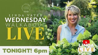 Wednesday Walkabout postLIVE  Linda Vater [upl. by Reagen]