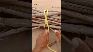 Simple Method of Bundling Firewood knots shorts shortsfeed knot [upl. by Aleakam]