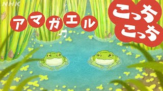 あおきいろ こっちこっち「アマガエル」 ひろがれ！いろとりどり  SDGs  NHK [upl. by Yrtsed566]