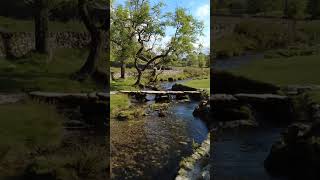 Tranquil Stream Malham Cove Full Circular Walk Tour Gordale Scar Janets Foss Yorkshire Dales UK 🇬🇧 [upl. by Nasia518]