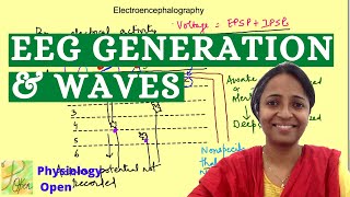 Electroencephalography  EEG waves  CNS Physiology mbbs 1st year lecture [upl. by Macdougall]