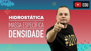 Hidrostática  Densidade  Massa específica  ENEM e vestibulares [upl. by Enyamrahc226]