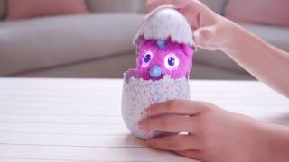 Hatchimals  Introducing Hatchimals Owlicorn  Only at Toys quotRquot Us [upl. by Dorrahs]