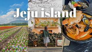 3 day Trip to Jeju Island Without a Car Flower fields aesthetic cafes what I ate Korea VLOG [upl. by Naillimixam]