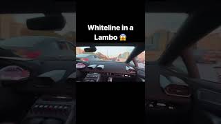 OMGOMGOMG cars car whiteline lamborghini youtube shorts short racing speed wow crash [upl. by Enaffit]