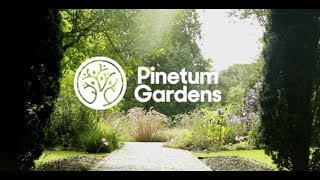 Pinetum Gardens [upl. by Cristal]