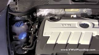 2014 Volkswagen Beetle TDI Review [upl. by Holsworth]