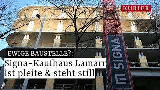 SignaKaufhaus Lamarr Der Zusammenbruch einer Millioneninvestition [upl. by Rodl734]