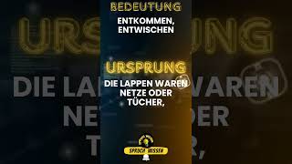 Ursprung von quotDurch die Lappen gehenquot [upl. by Ataynik]