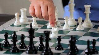 3 Basic Opening Strategy Principles  Chess [upl. by Maril]