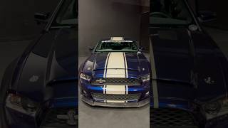 Shelby GT500 Super Snake shelby supersnake [upl. by Orv]