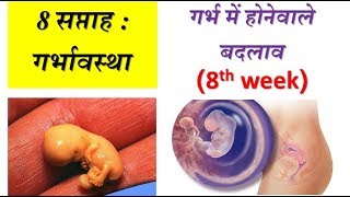 8 weeks of pregnancy and baby development in hindi [upl. by Betty878]