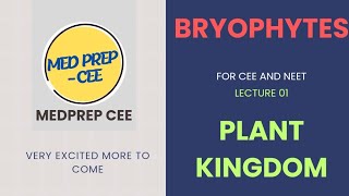 Bryophytes Class 11 for CEE biologyatease [upl. by Hogen]