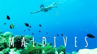 MALDIVES PART 3  Veligandu Island Resort amp Spa [upl. by Ynaffad312]