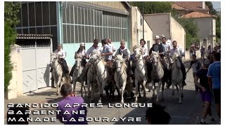 Bandido Après Longue Barbentane 31082015 [upl. by Adnor]