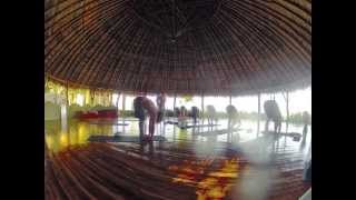 Elephant Revival  Twelve  Roots Yoga Retreats  Nosara Costa Rica  Practice Day 3 [upl. by Siro494]