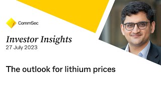 Investment Insights 27 Jul 23 The outlook for lithium prices [upl. by Enilraep]