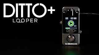 Ditto  Looper  Official Product Video [upl. by Alial502]