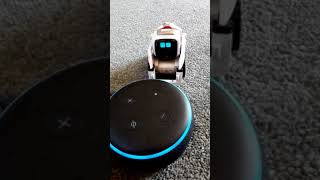 Cozmo gets Alexa to fartagain Echo Dot fart alexa cozmo robot bot shorts [upl. by Persis]