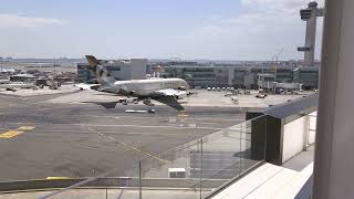 Poolside Planespotting At The TWA Hotel In JFK Airport [upl. by Brigham]