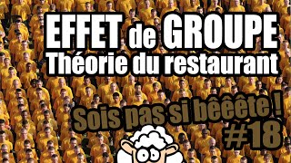 EFFET de GROUPE  théorie du restaurant  Sois pas si bêêête 18 [upl. by Aleacem959]