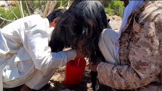 Nomadic life in Iran  Milking and raising sheep in nomadic area [upl. by Araminta]