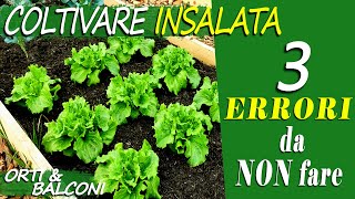 COLTIVARE INSALATA  3 ERRORI da NON fare  Come coltivare INSALATA in ORTO e BALCONE senza sbagli [upl. by Inirt]