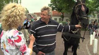 Paardenmarkt Rijnsburg 2013 [upl. by Releyks]