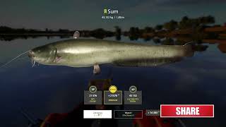 Catfish Akhtuba River Russian Fishing 4 rf4 spot [upl. by Asel]