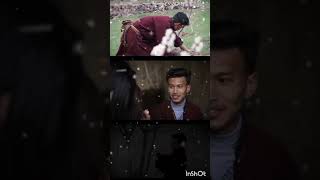 Tsesnon ladakh song 2024New ladakhi song short video ladakhshorts newsong ladakhmusic inshot [upl. by Lavina]