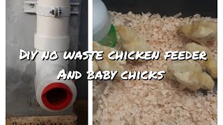 Diy no waste chicken feeder and baby chicks [upl. by Zetniuq149]