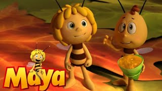 Maya the bee  Music Academy [upl. by Ronyar566]