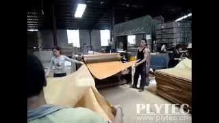 Glue spreader for plywood veneer  JAYA [upl. by Nimocks614]