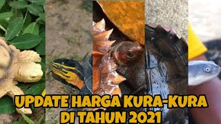 UPDATE DAFTAR HARGA KURAKURA TERBARU DI TAHUN 2021 [upl. by Thebazile431]