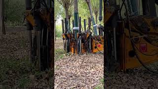 Modern uses the best tree digging machinery [upl. by Hobbie]