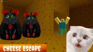 ESCAPA DE LA RATA DIABOLICA EN ROLOX 😰 roblox [upl. by Leontina]