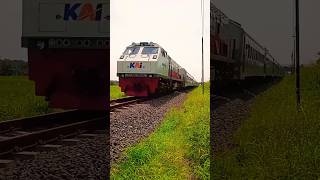 Hunting KASerayu Pagi keretaapi keretaapiindonesia railfans train kai railway hunting [upl. by Notsirhc629]