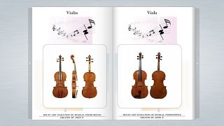 Violin family [upl. by Sherburne]