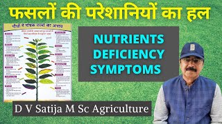 Nutrients Deficiency in Plants  Micronutrients  Macronutrients [upl. by Elden]