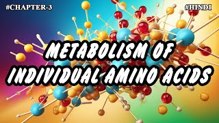 Chapter  3  Metabolism Of Individual Amino Acids Part3  Hindi [upl. by Suraved]