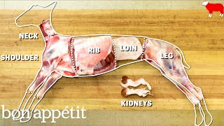 How to Butcher an Entire Lamb Every Cut of Meat Explained  Handcrafted  Bon Appetit [upl. by Terhune449]