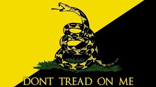 Making The Case For Libertarian Anarchism [upl. by Nylra68]