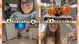 Smontiamo i mobili in soggiornoAndiamo da Primark con CugArriva il topolino [upl. by Eitteb]