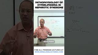 Pathophysiology Of Hyperlipidemia In Nephrotic Syndrome [upl. by Sucitivel630]