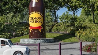 Drive Through Paeroa Town Center World Famous in NZ town of Paeroa [upl. by Theobald]