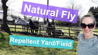 Natural Fly Repellent for Horses  To Have on Your Yard or Field [upl. by Airyk823]