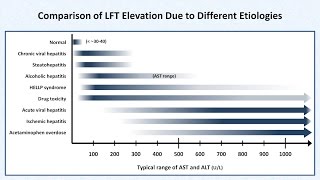 Interpretation of LFTs Liver Function Tests [upl. by Airamat]